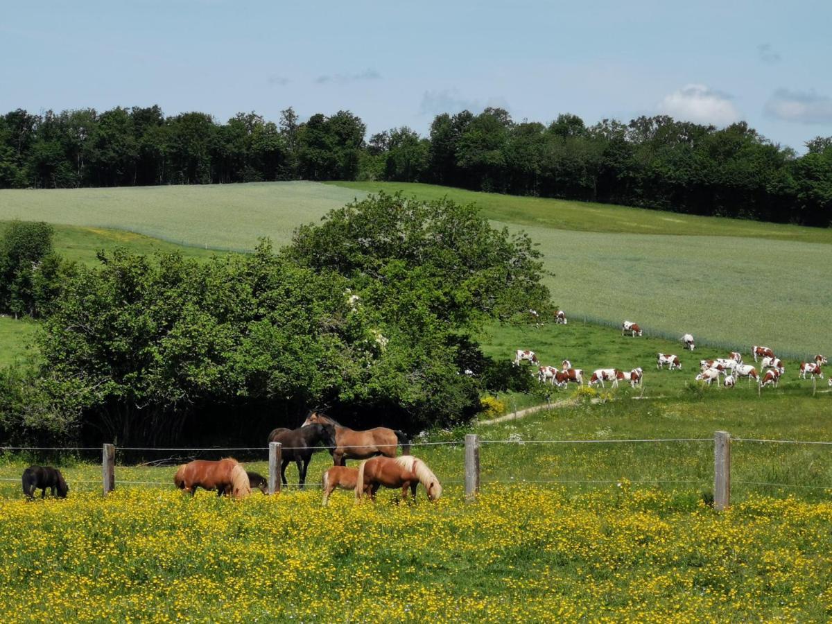 Gite Du Colombier Le Fied Exterior foto